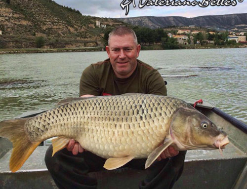 Catfishing in Spain I Fishing in Spain