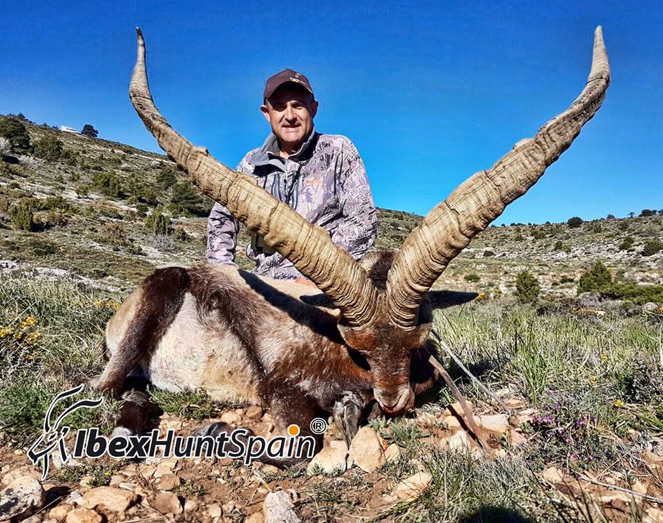 SPANISH IBEX HUNTING IBEX HUNT IN SPAIN Ibex Hunting in Spain