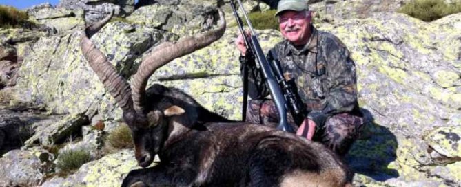Gredos-Ibex-Hunting-2011-6