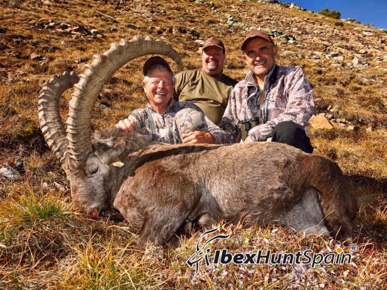 Alpine ibex hunting in Switzerland