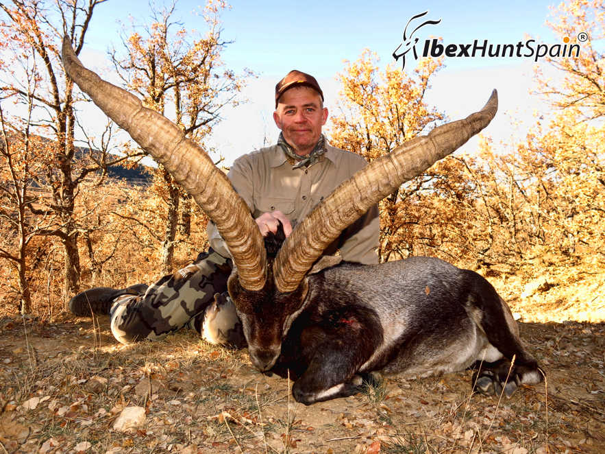 Beceite ibex hunting in Spain