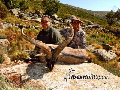 Gredos Ibex Hunt