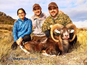Iberian Mouflon Hunting in Spain