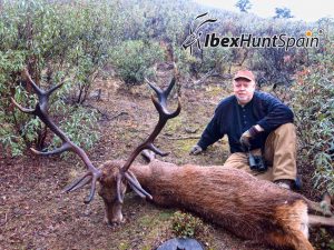 Iberian Red Deer Hunting in Spain