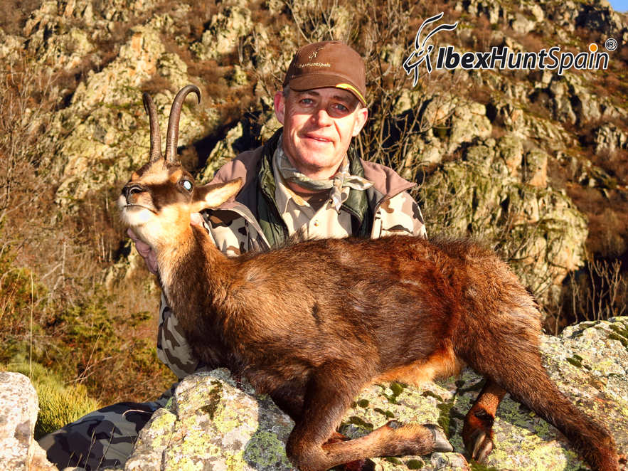 Pyrenean Chamois hunting in Spain