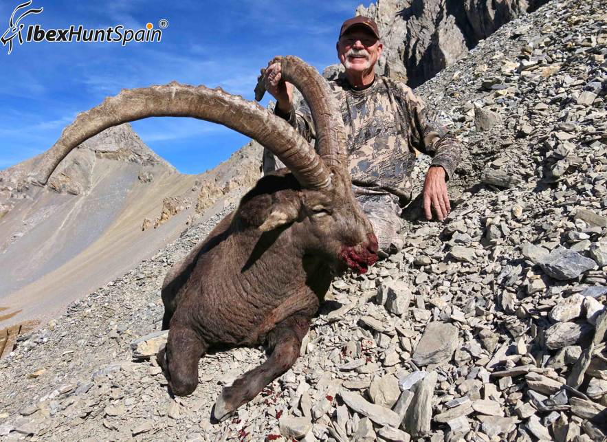 Alpine ibex Hunting 