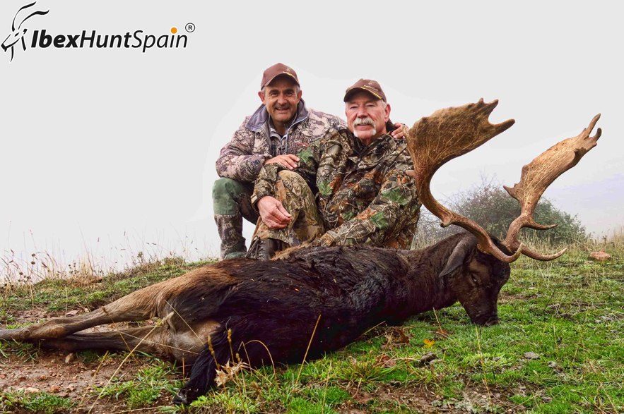 Fallow deer hunting in Spain