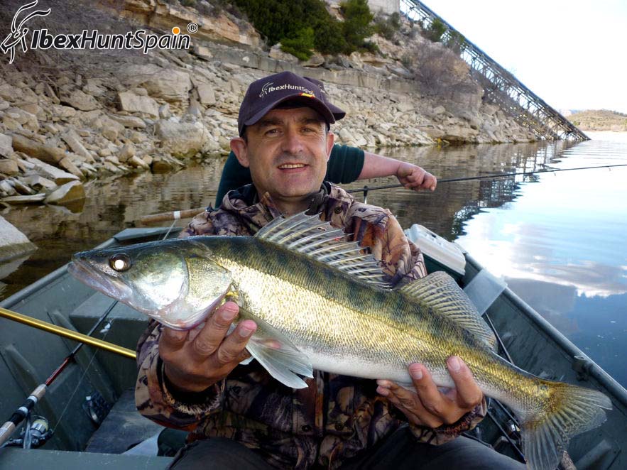 Zander fishing in Spain