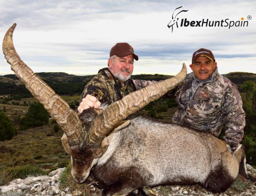 Hunting in Spain By M. Orr