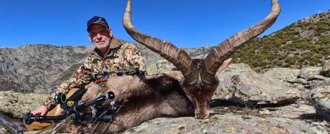Gredos-Ibex-hunt