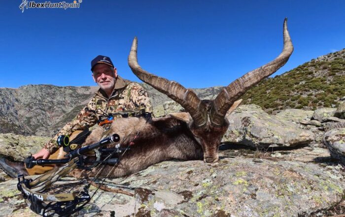 Gredos-Ibex-hunt