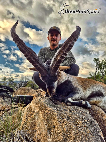 Iberian Mouflon and Southeastern Ibex 2026