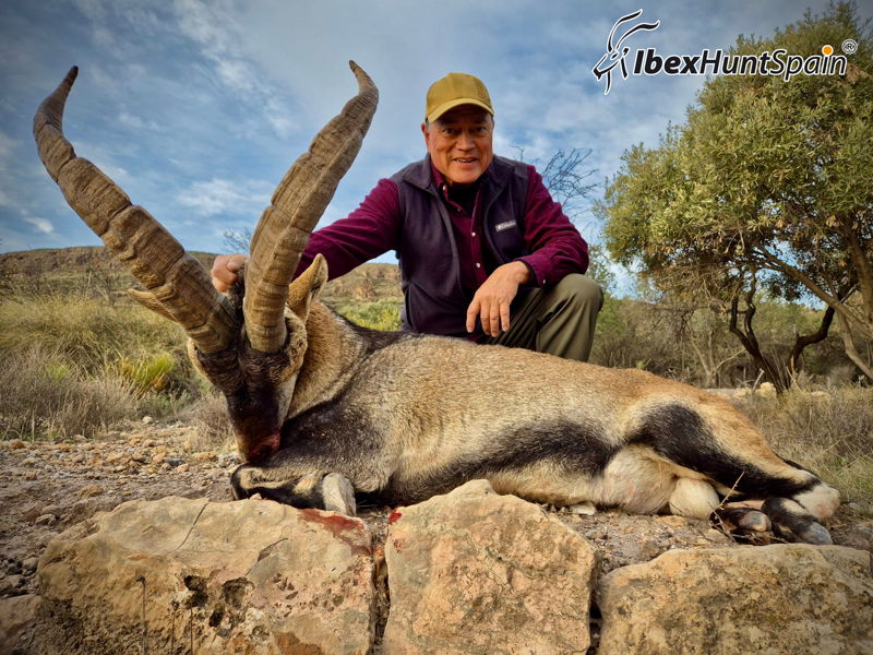 Southeastern Ibex Hunts 2025 – Ibex Hunt Spain